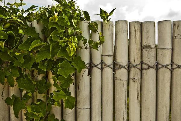 Transform Your Aussie Property with Low Maintenance PVC Fencing
