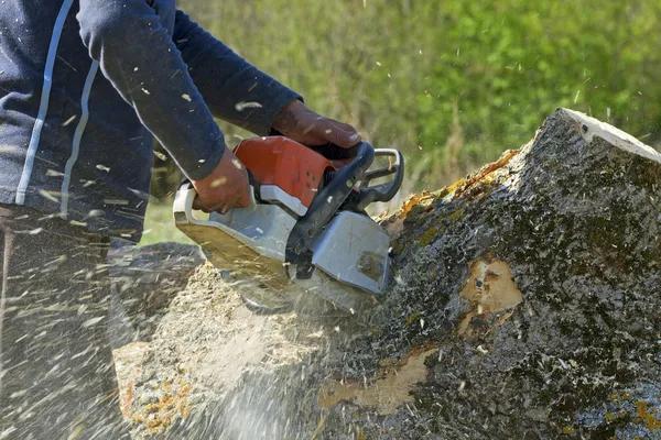 Licensed and Insured Tree Service Macomb County MI Specialists