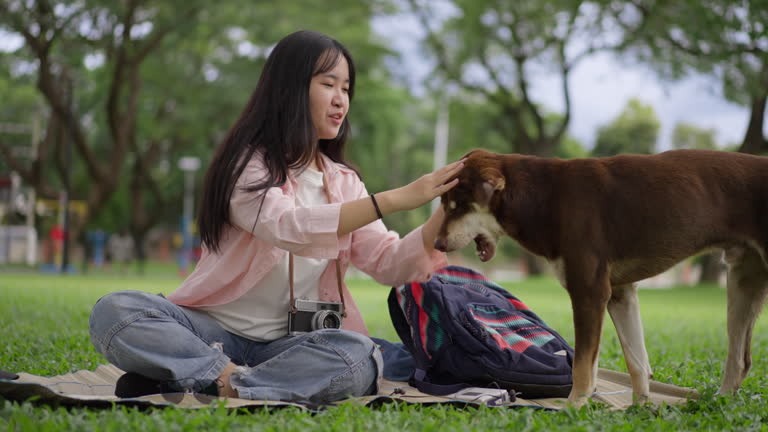 How to Find Reliable Artificial Grass Installation Near Me