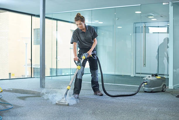 Top-Rated Carpet Cleaning Service in Scottsdale Get a Fresh Look Today